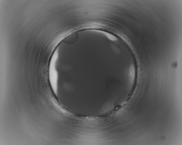 X0000111910850200908241025