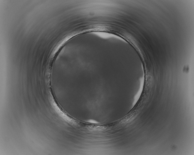 X0000111910851200908241025