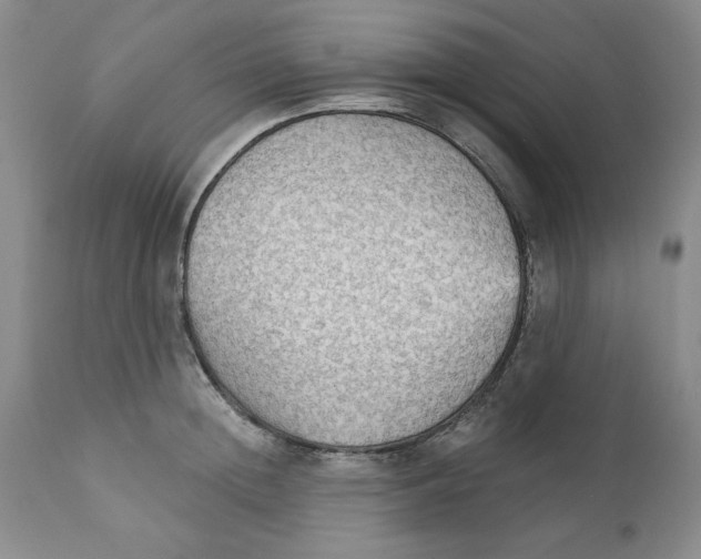 X0000111910852200908241025