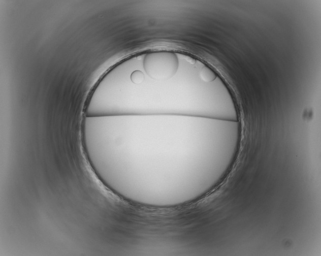 X0000111910853200908241025