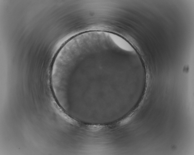 X0000111910854200908241025