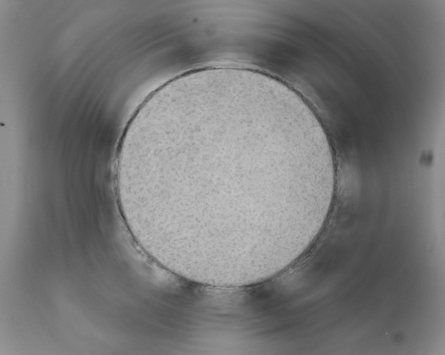 X0000111910856200908241025