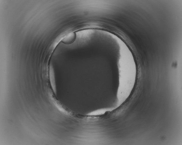 X0000111910858200908241025