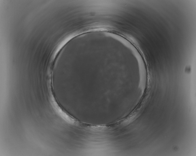 X0000111910859200908241025