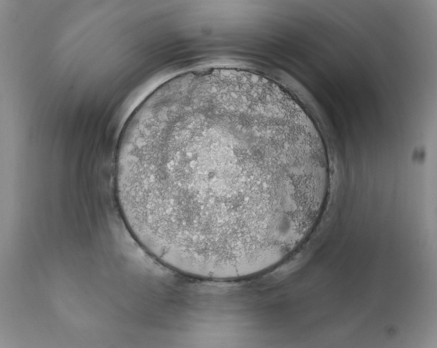 X0000111910860200908241025