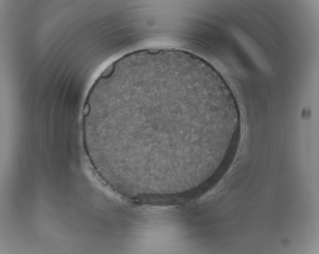 X0000111910864200908241025