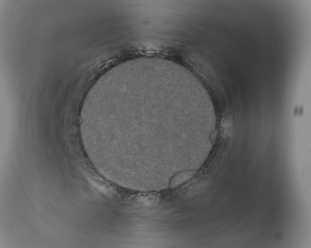 X0000111910865200908241024