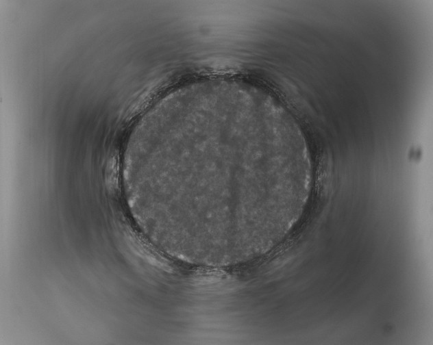 X0000111910866200908241024
