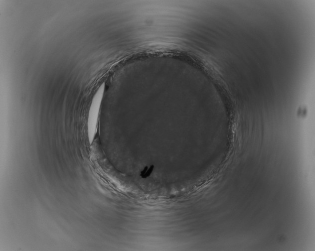 X0000111910868200908241024