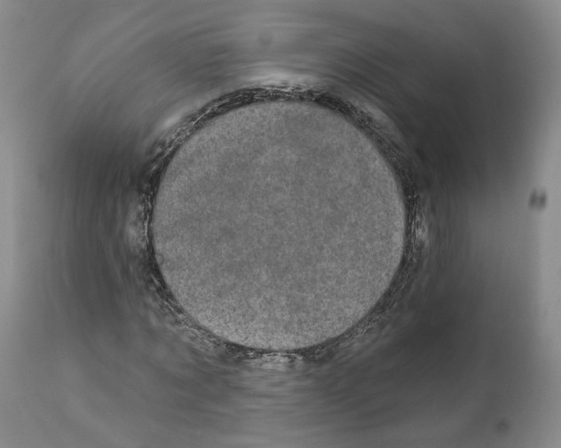 X0000111910869200908241024