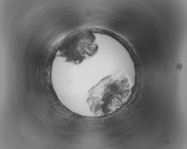 X0000111910871200908241024