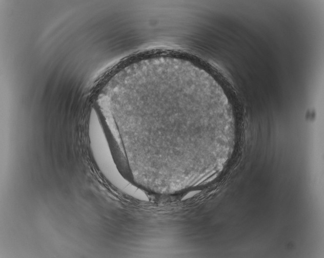 X0000111910872200908241024