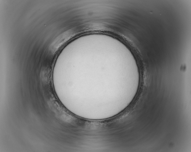 X0000111910873200908241024