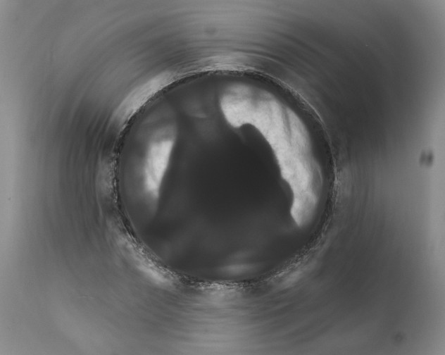 X0000111910874200908241024