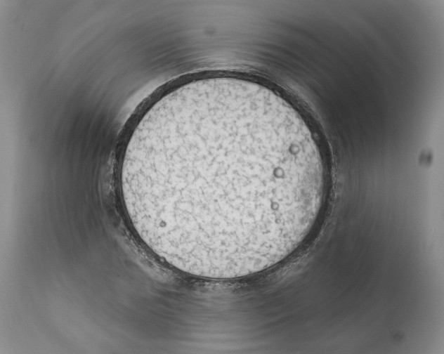 X0000111910875200908241024