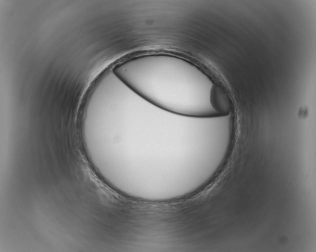 X0000111910876200908241024