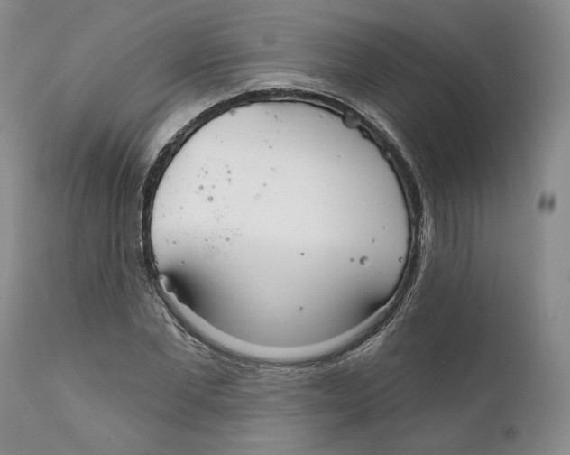 X0000111910877200908241024