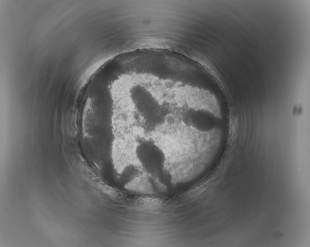 X0000111910878200908241024