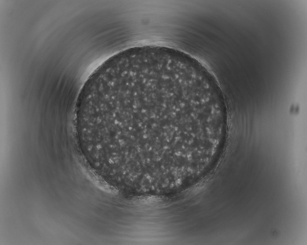 X0000111910879200908241024