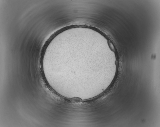 X0000111910880200908241024