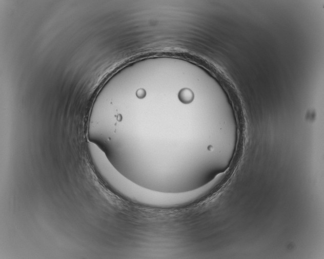 X0000111910881200908241024