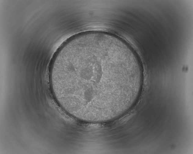 X0000111910883200908241024