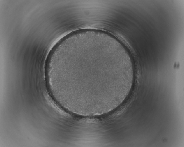 X0000111910884200908241024