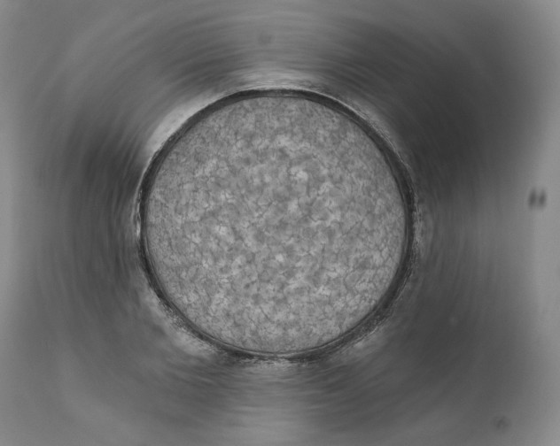 X0000111910885200908241024