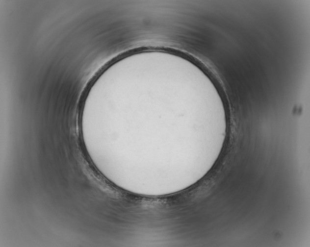 X0000111910887200908241024