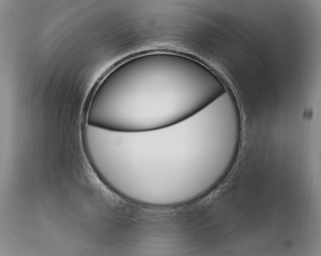 X0000111910888200908241024
