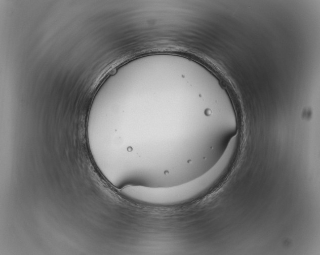 X0000111910889200908241024