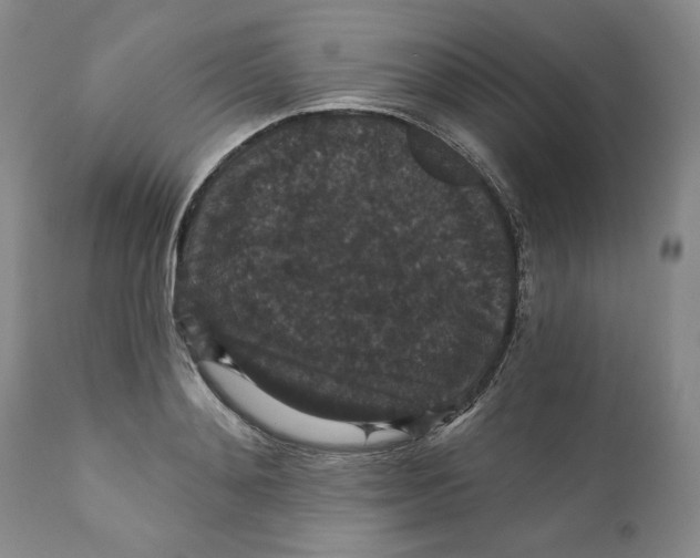 X0000111910892200908241024