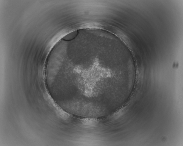 X0000111910893200908241024