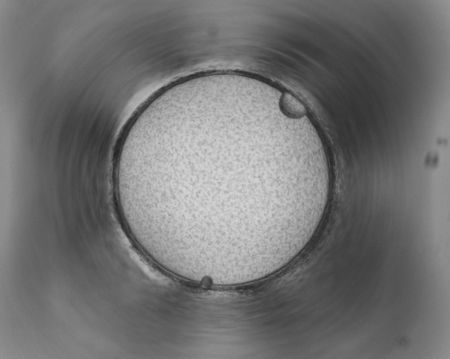 X0000111910894200908241024