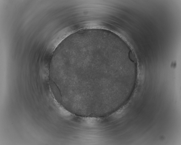 X0000111910897200908241024