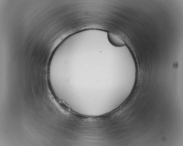 X0000111910898200908241024