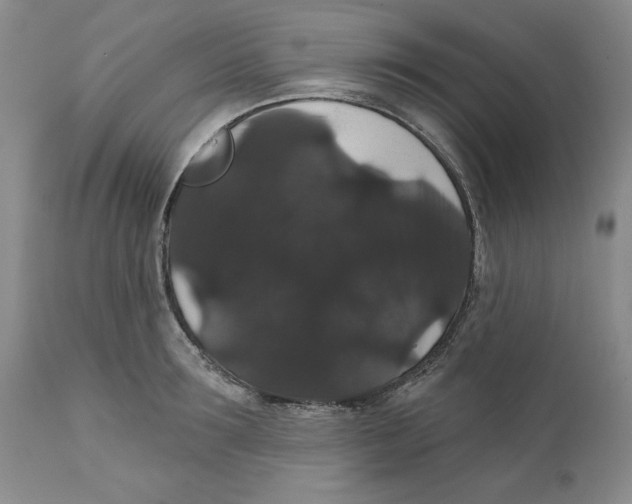 X0000111910899200908241024