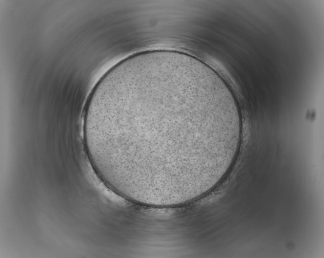 X0000111910900200908241024