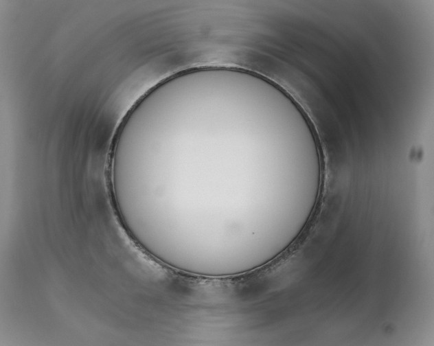 X0000111910901200908241024