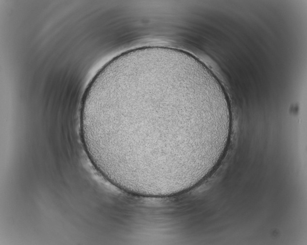 X0000111910904200908241024