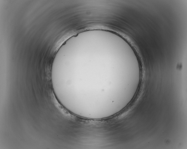 X0000111910905200908241024