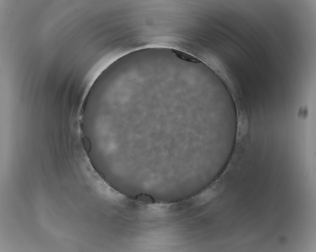 X0000111910908200908241024