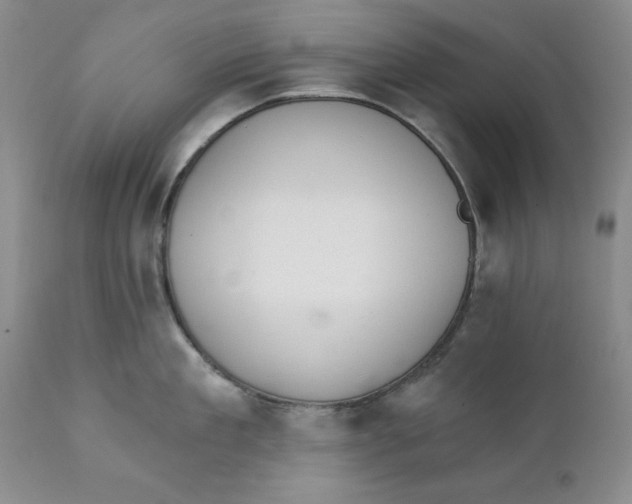 X0000111910909200908241024