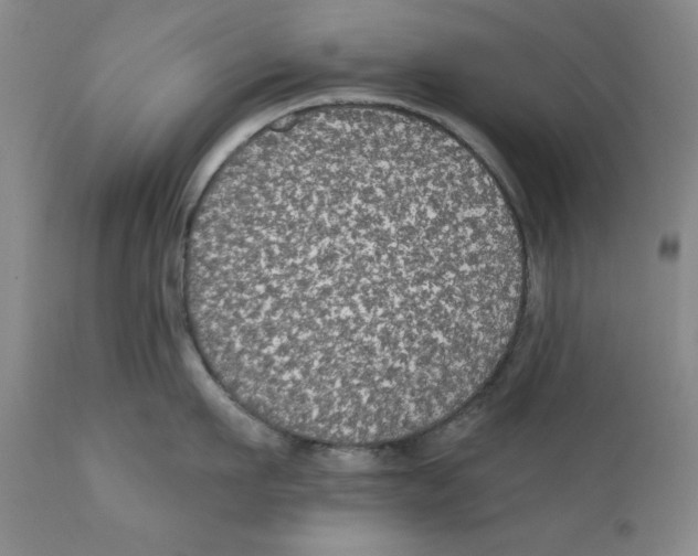 X0000111910911200908241024