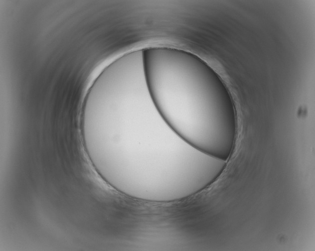 X0000111910912200908241024