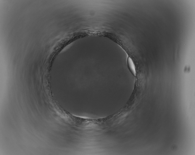 X0000111910913200908241023
