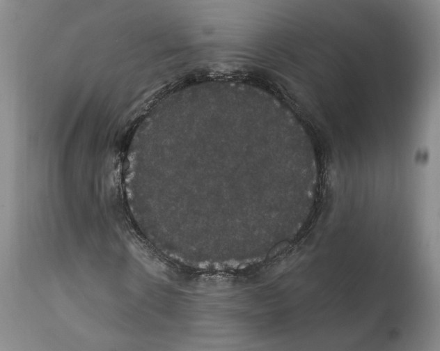 X0000111910914200908241023