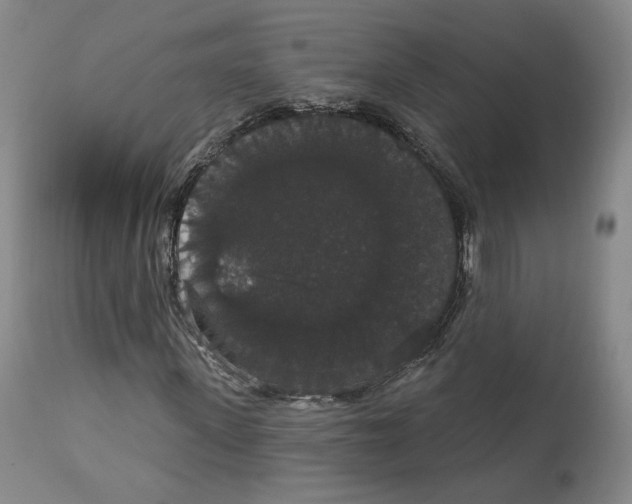 X0000111910915200908241023