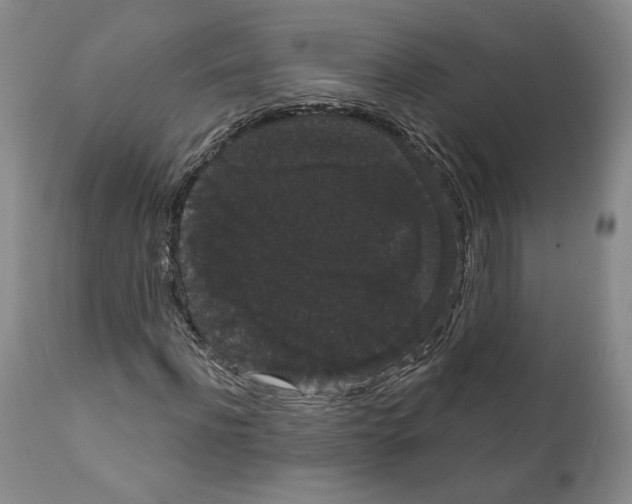 X0000111910916200908241023