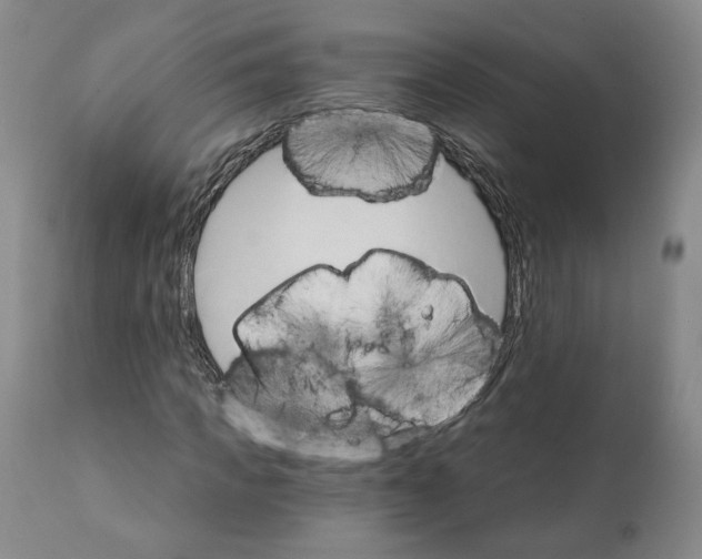 X0000111910917200908241023